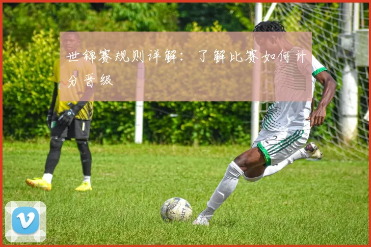 世锦赛规则详解:了解比赛如何计分晋级