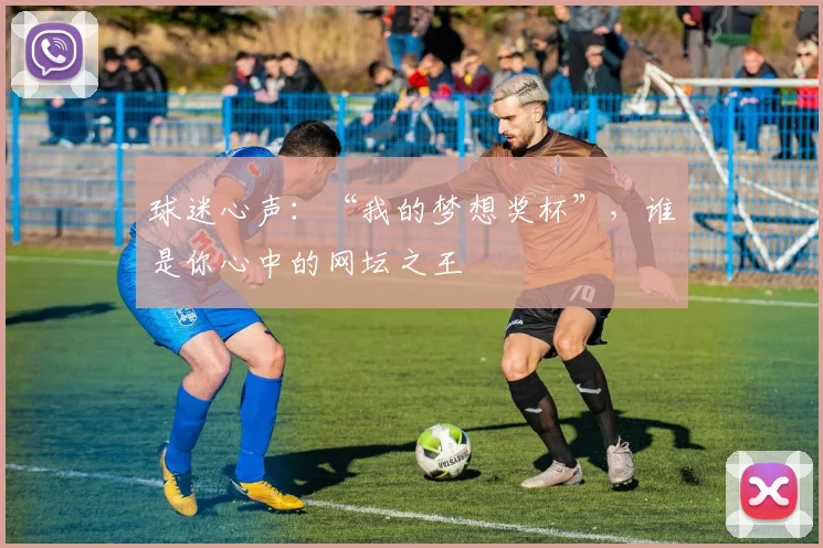 球迷心声：“我的梦想奖杯”，谁是你心中的网坛之王
