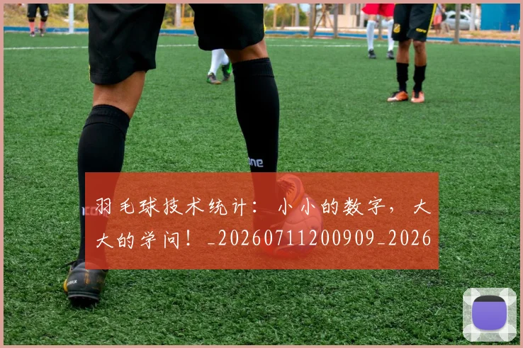 羽毛球技术统计:小小的数字,大大的学问!_20260711200909_20260803143638